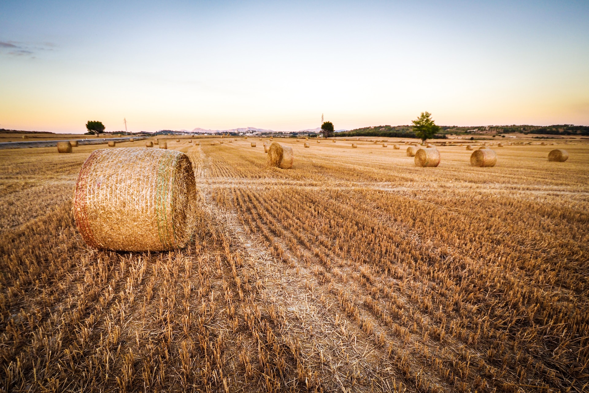 Agricoltura