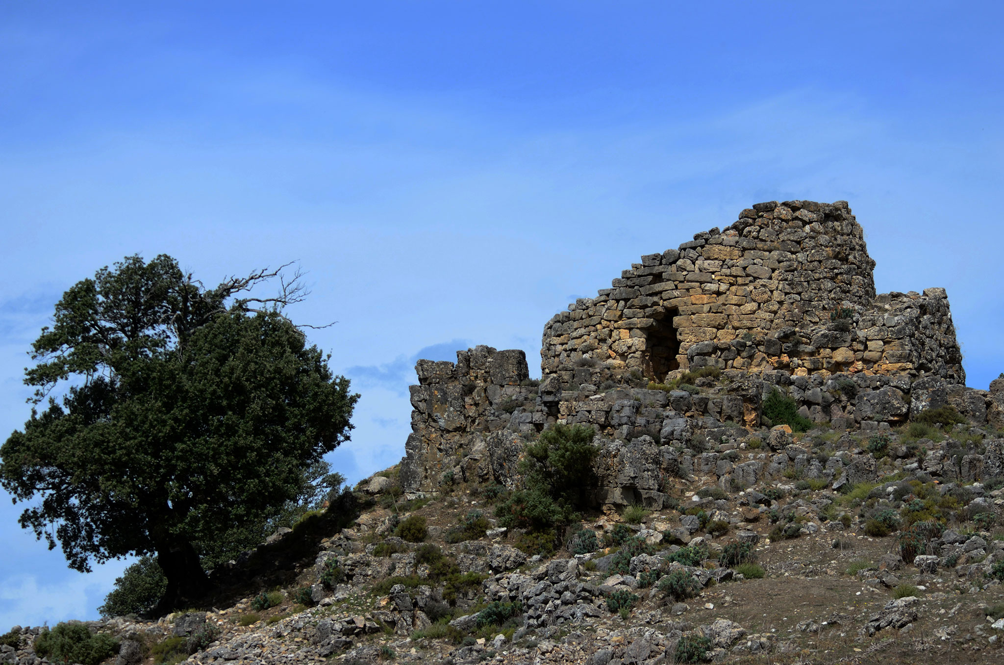 Nuraghe Ardasai