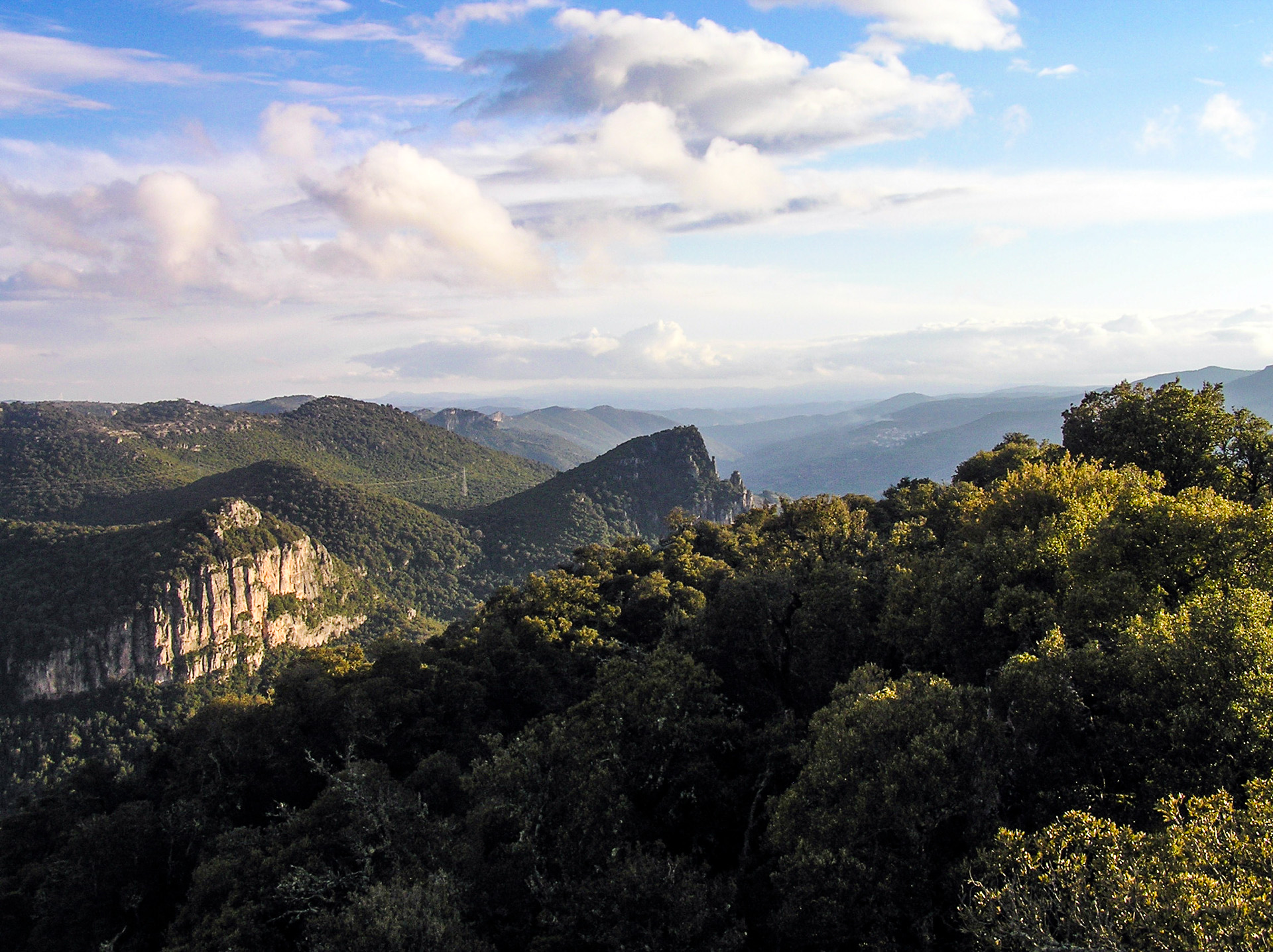 Foresta di Montarbu